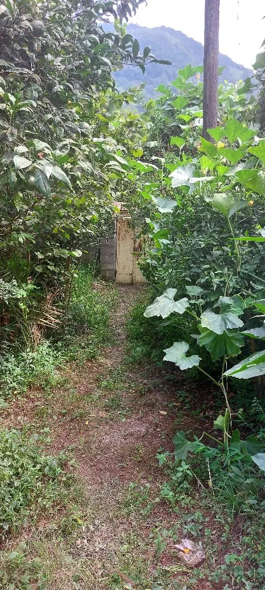 تصویر املاک 80186