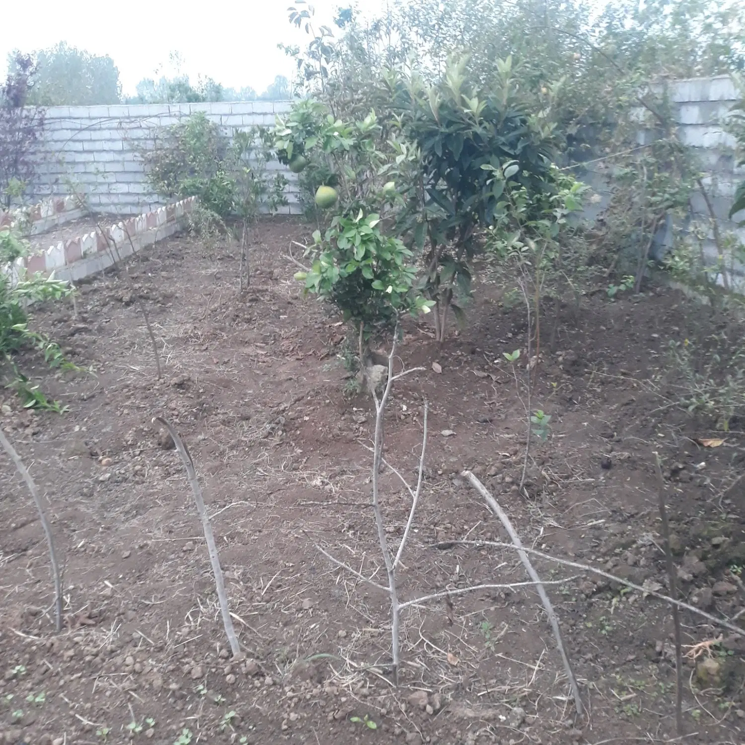 تصویر املاک 143769