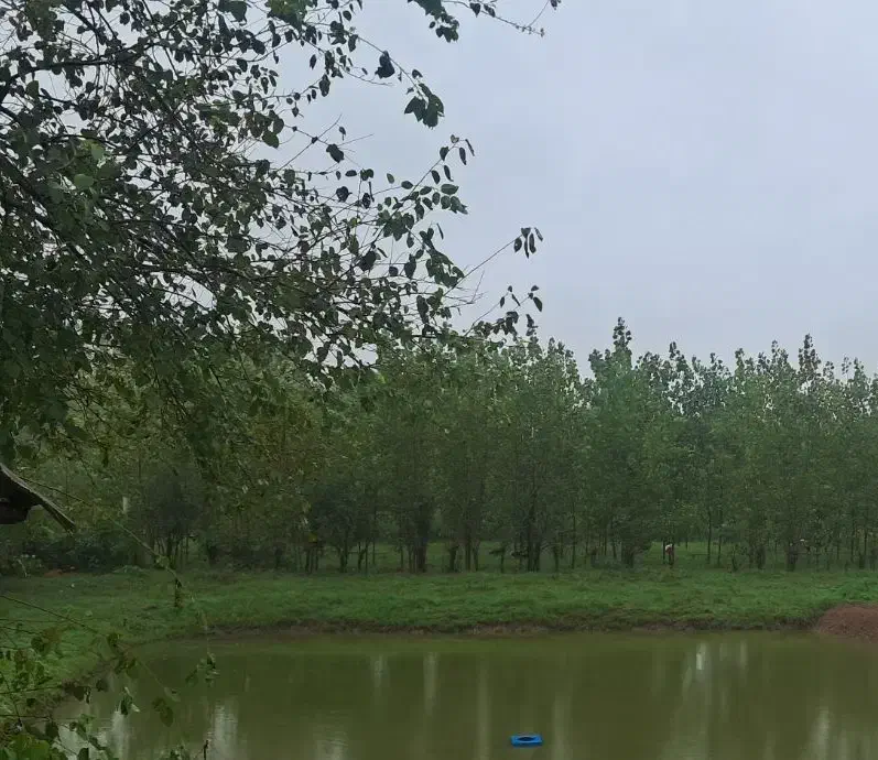 تصویر املاک 143556