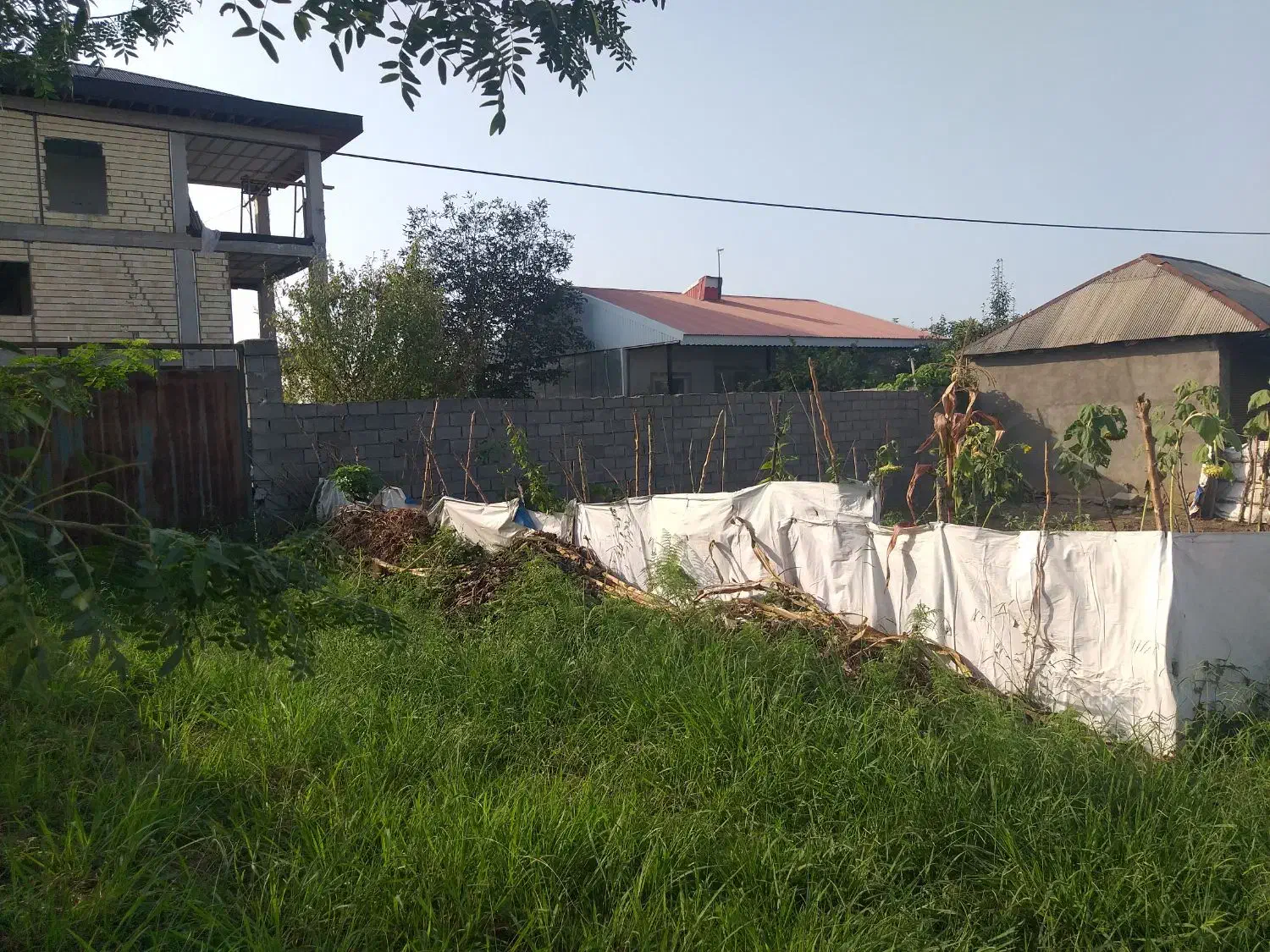 تصویر املاک 31206