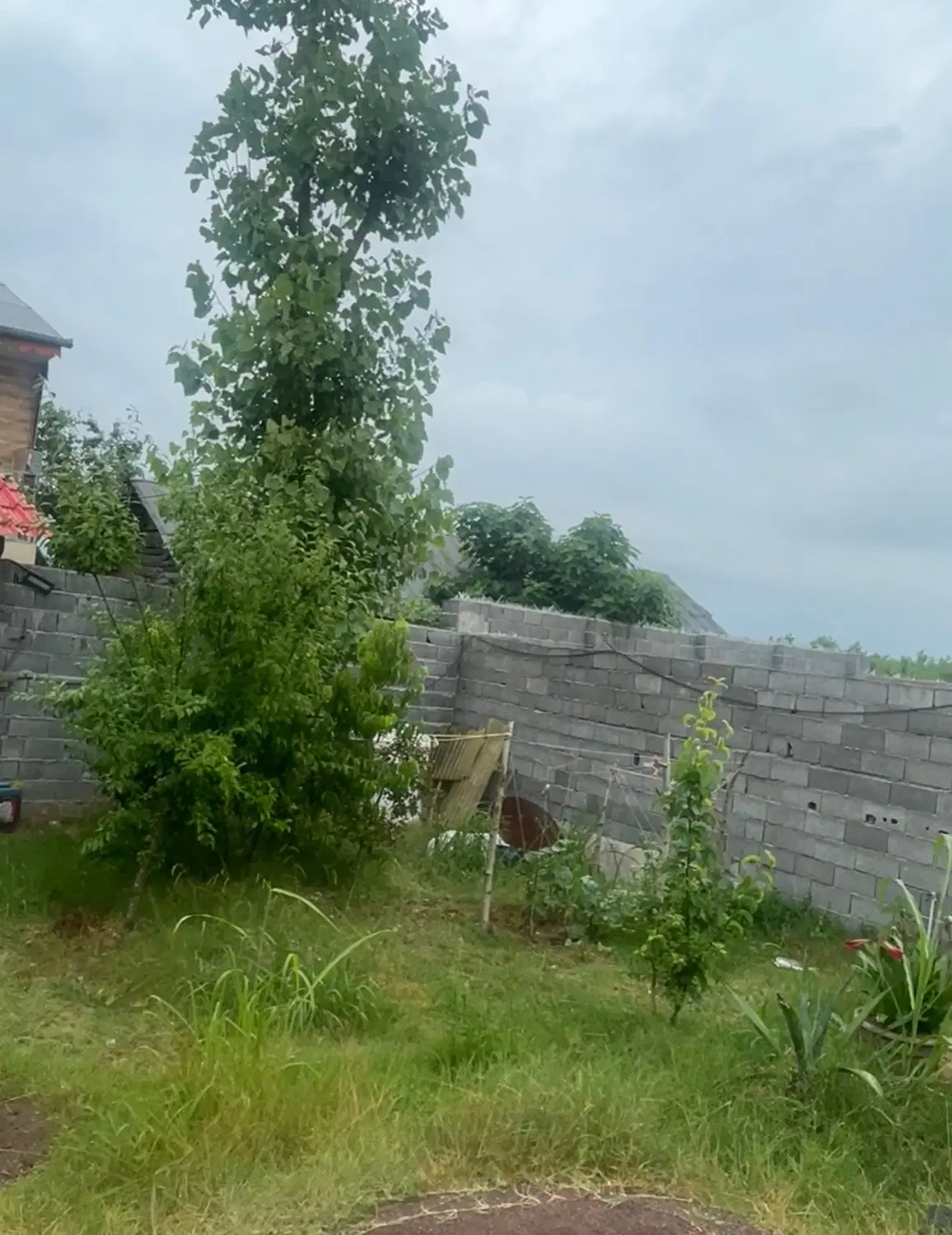 تصویر املاک 85445