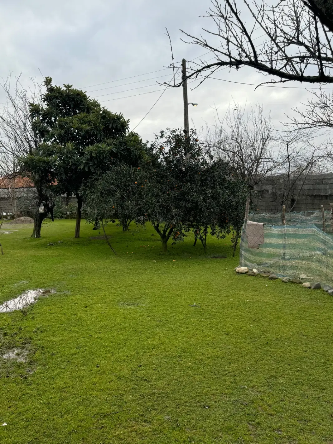 تصویر املاک 111464