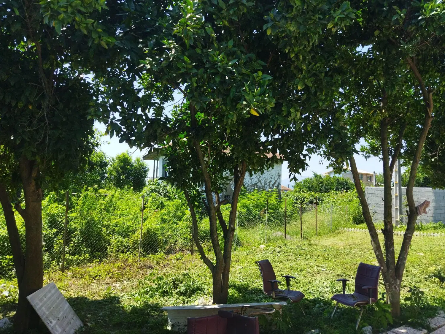 تصویر املاک 107849