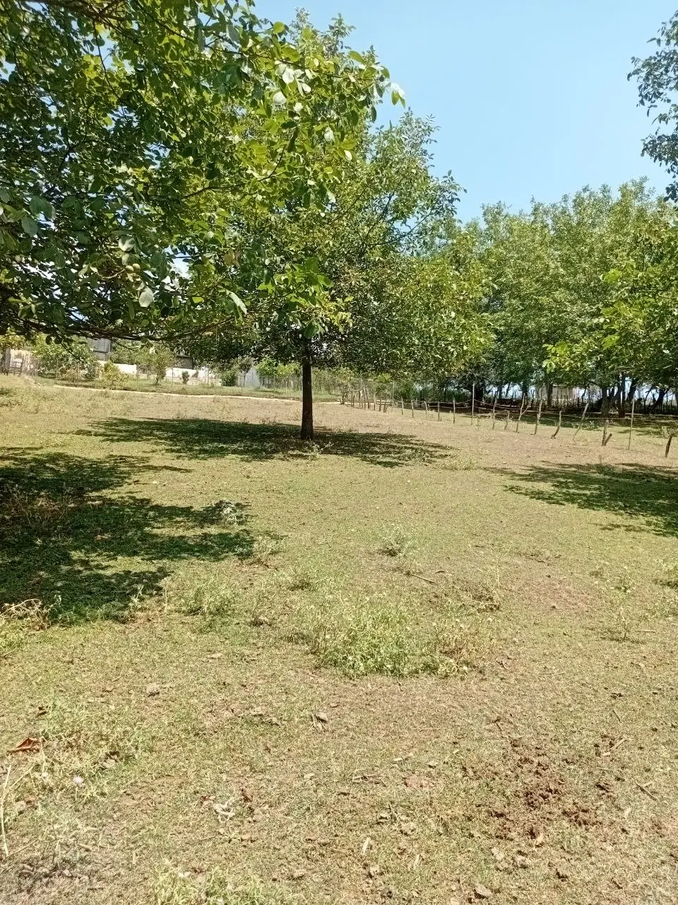 تصویر املاک 99946