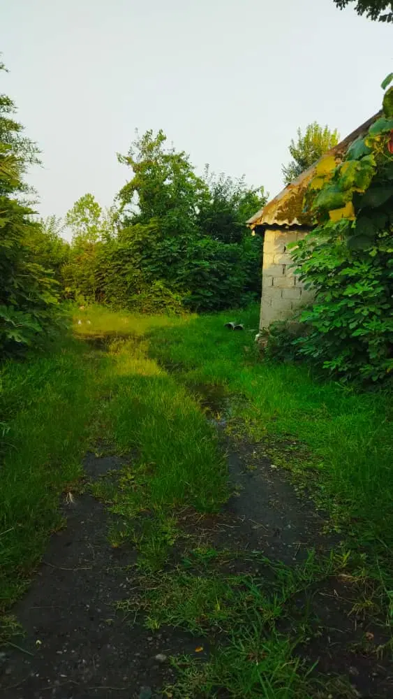 تصویر املاک 101790