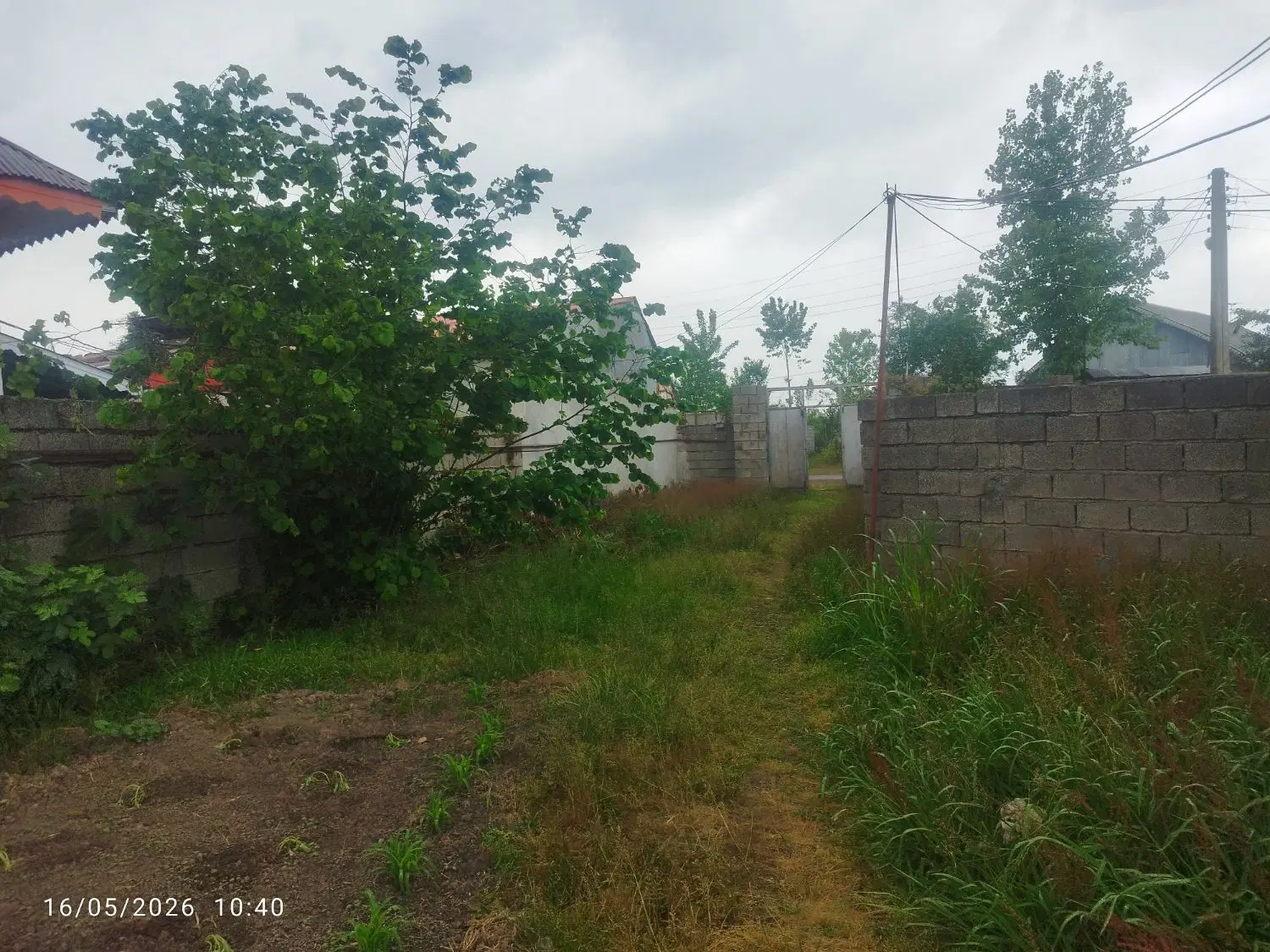تصویر املاک 44726