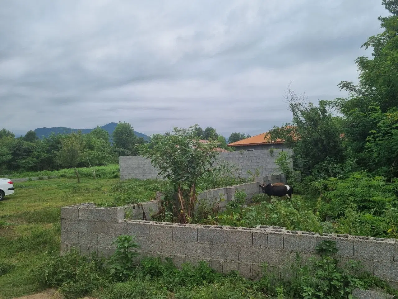 تصویر املاک 85817