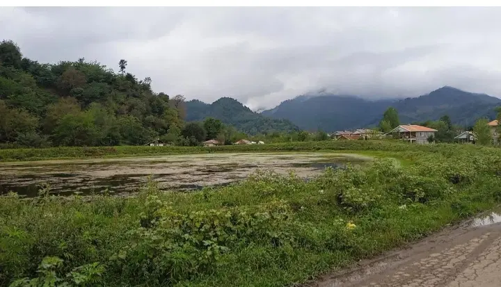 تصویر املاک 104777