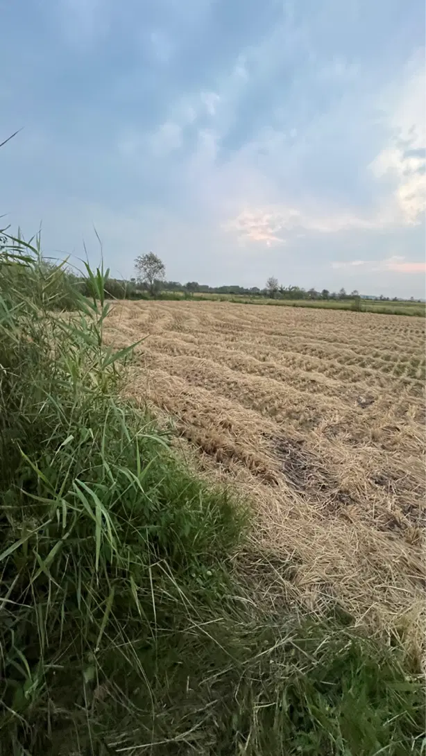 تصویر املاک 113982