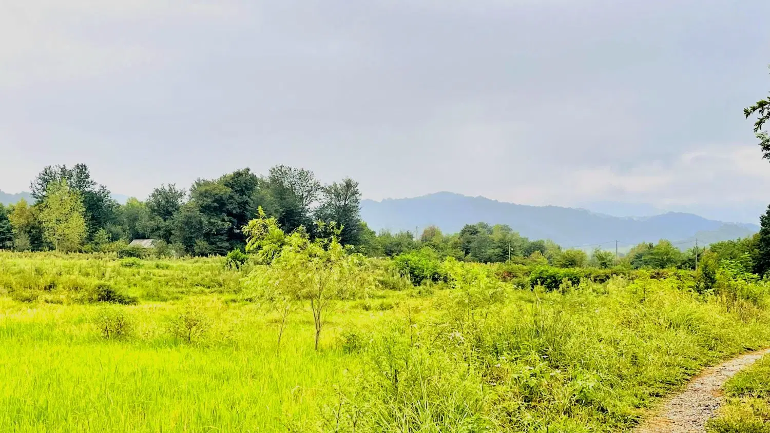 تصویر املاک 115959