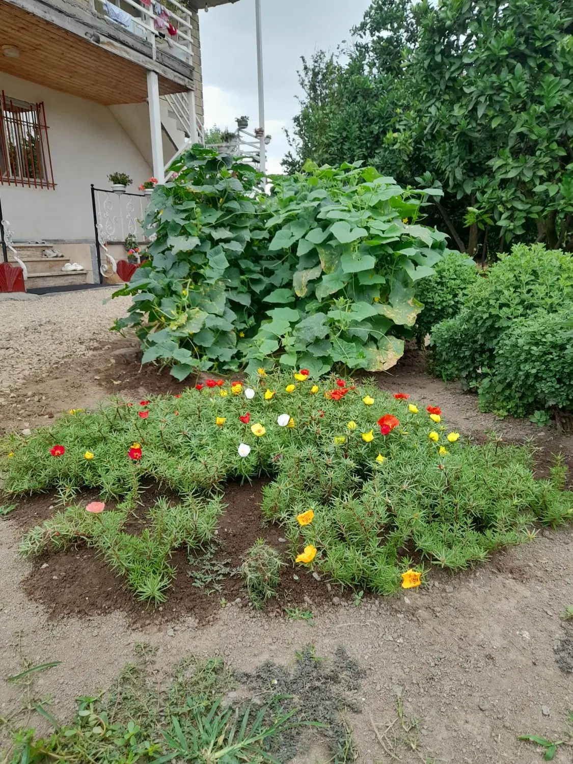 تصویر املاک 112000
