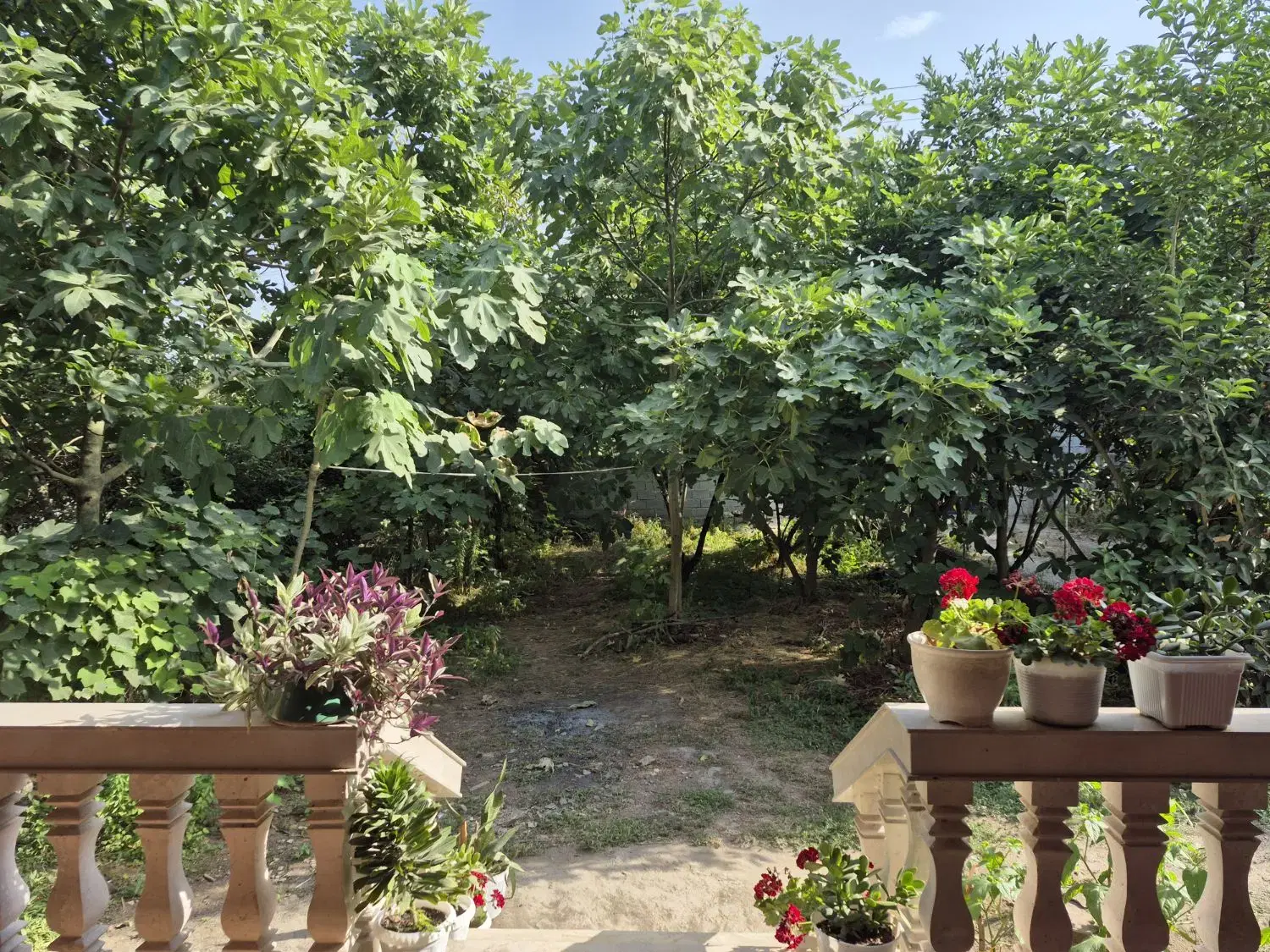 تصویر املاک 51002