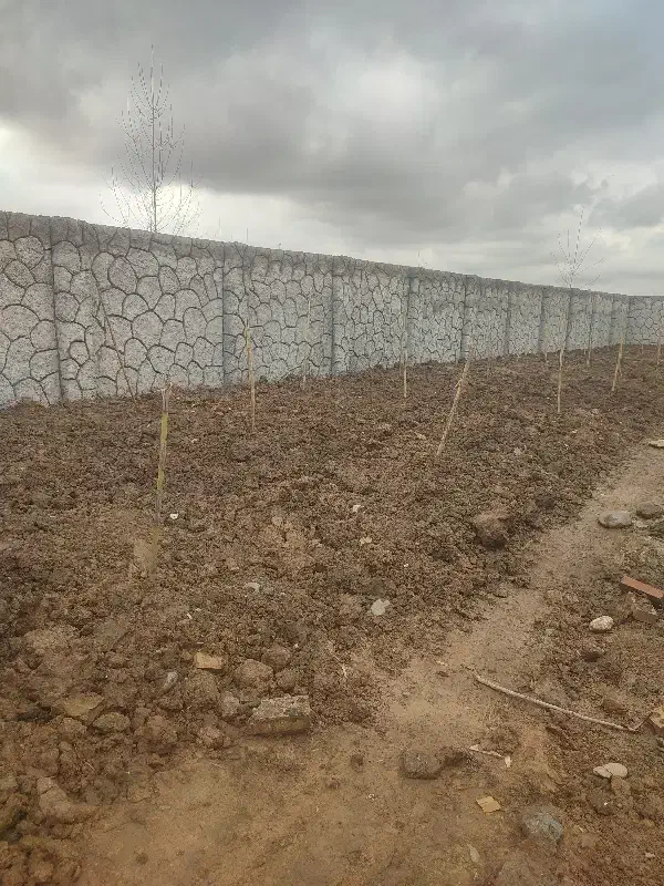 تصویر املاک 24271