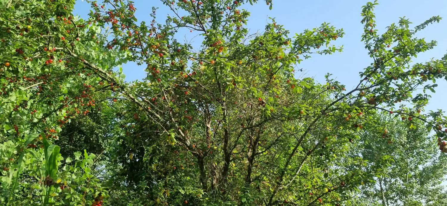 تصویر املاک 111263
