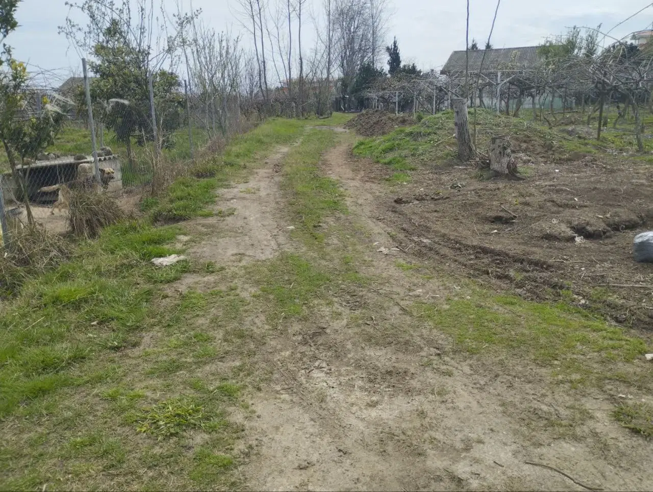 تصویر املاک 61544