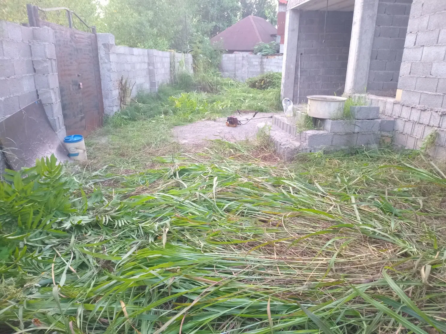 تصویر املاک 81891