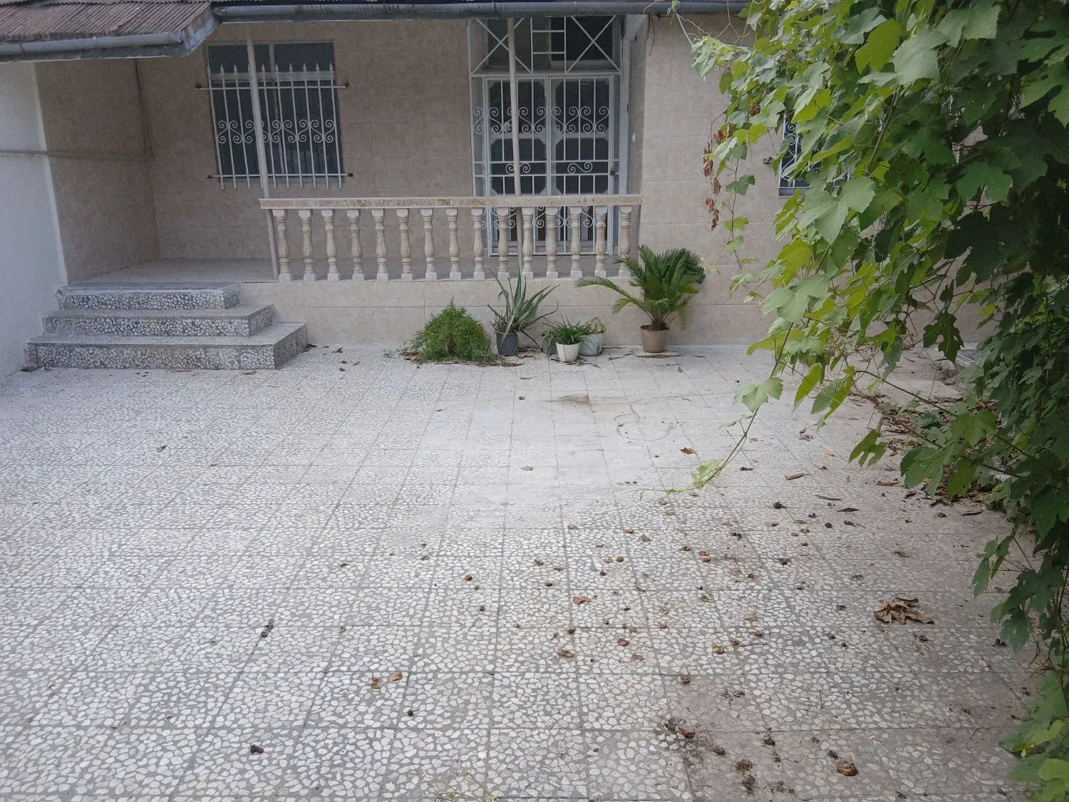 تصویر املاک 117804