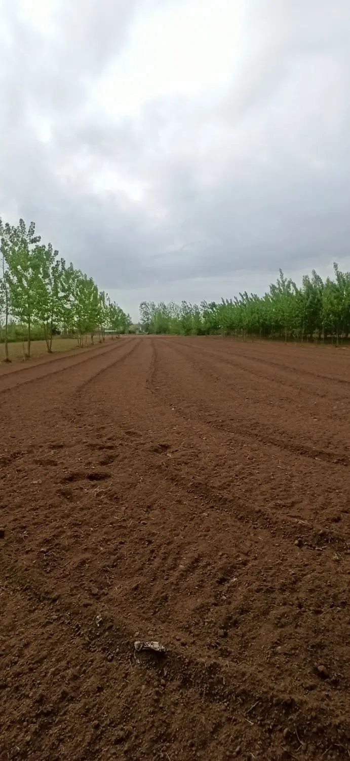 تصویر املاک 90880