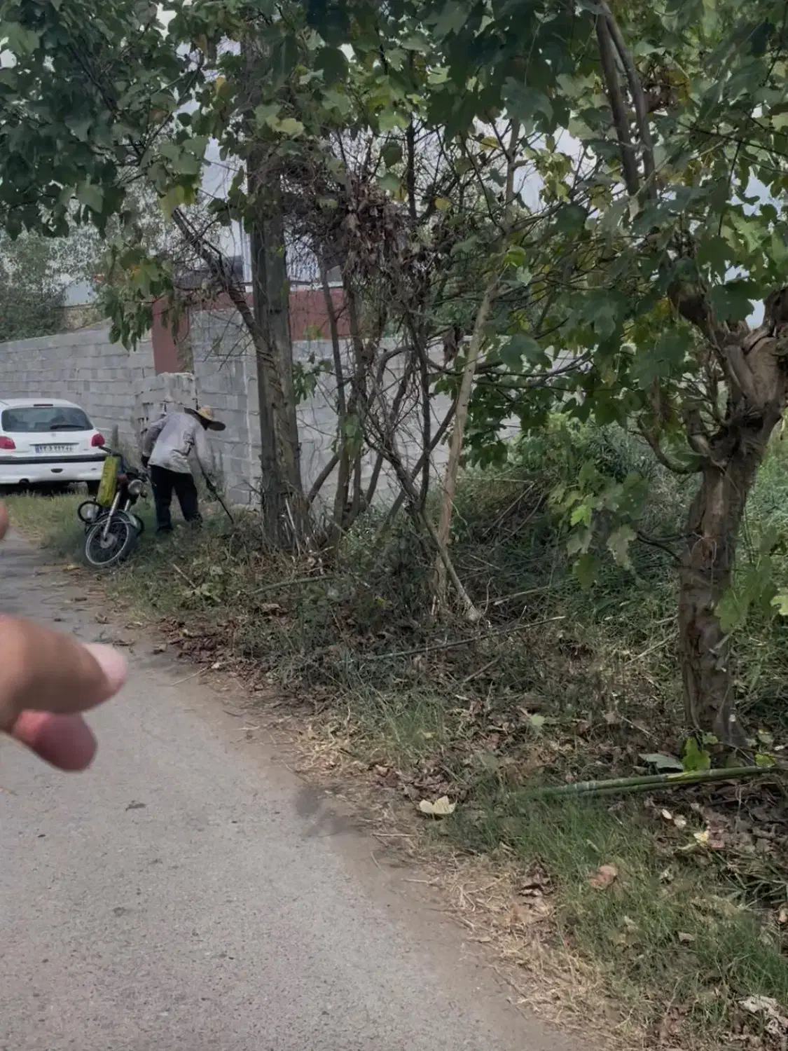 تصویر املاک 40726