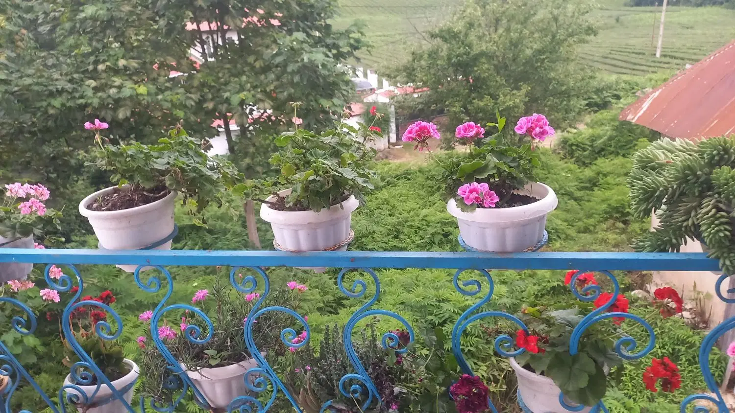 تصویر املاک 108958