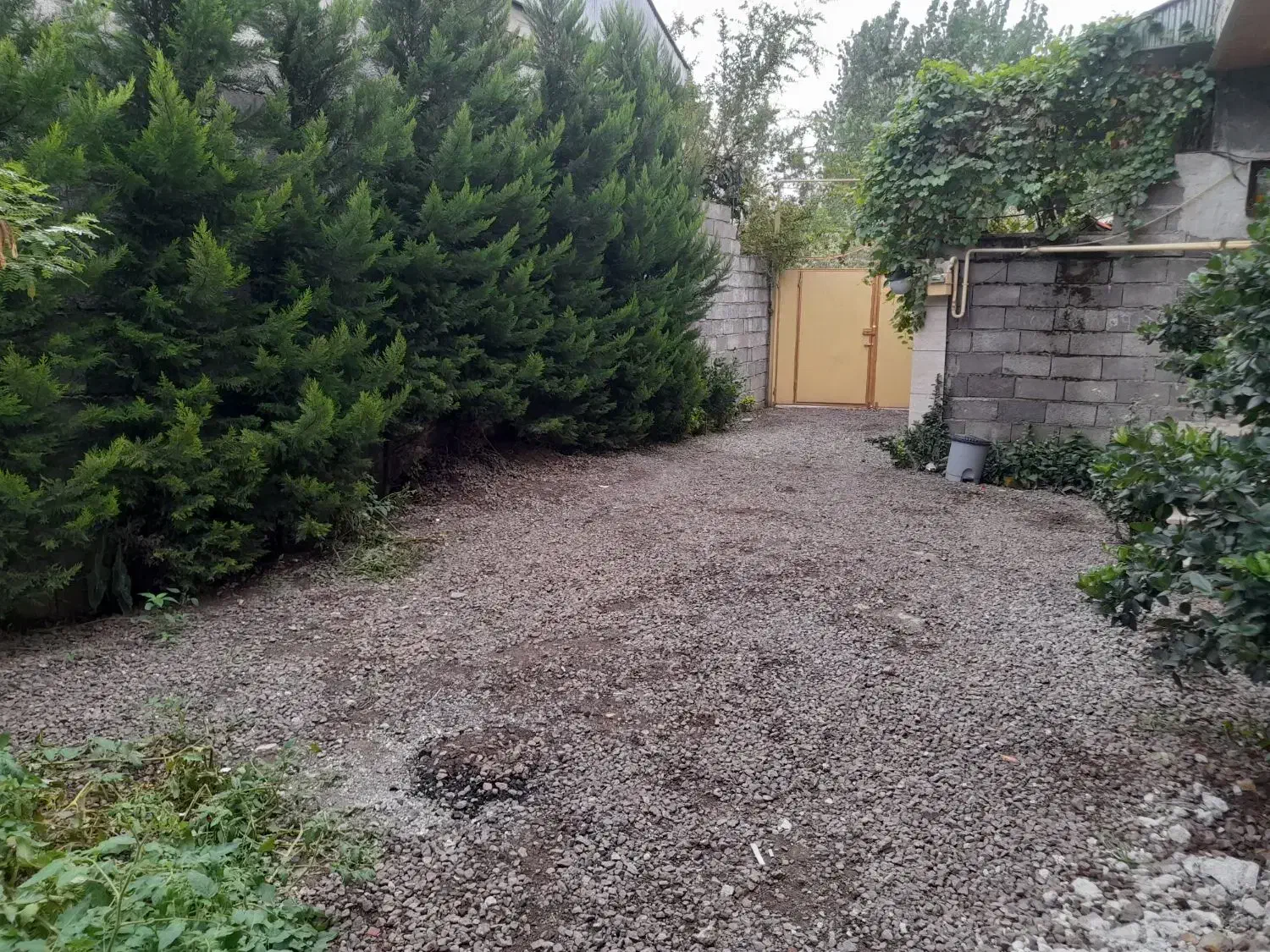 تصویر املاک 49909