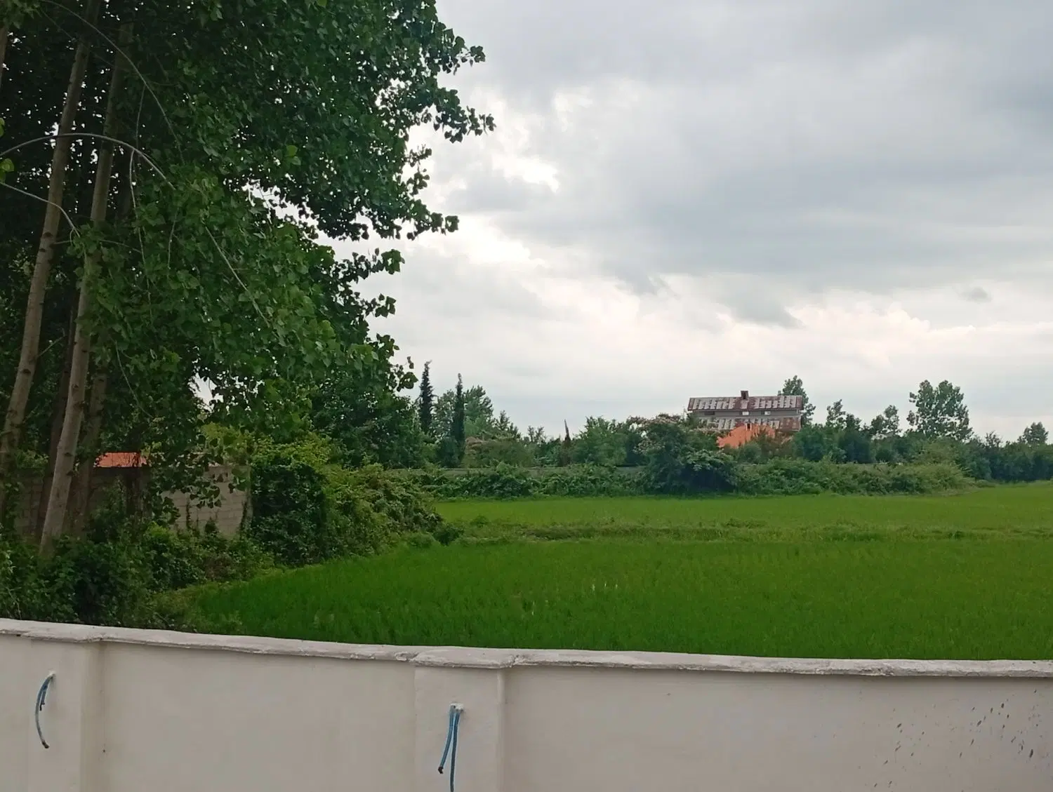 تصویر املاک 106150