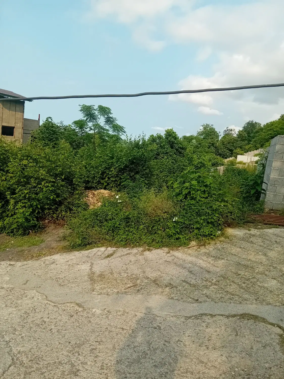 تصویر املاک 70440
