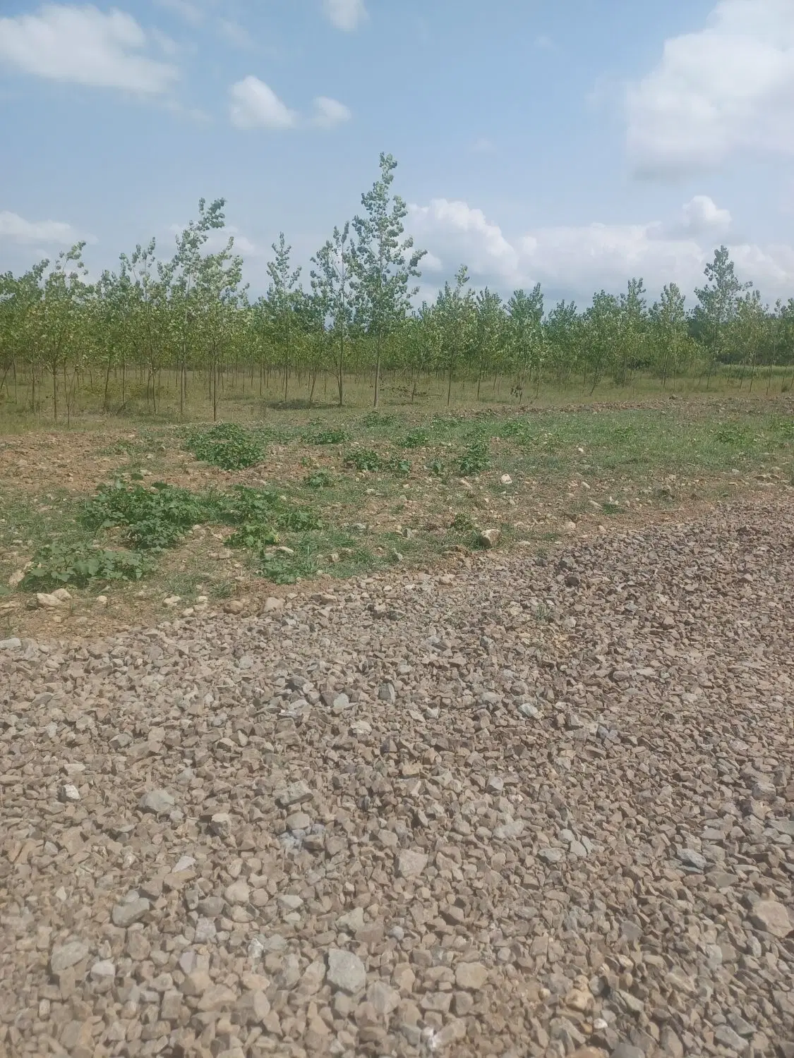 تصویر املاک 94432