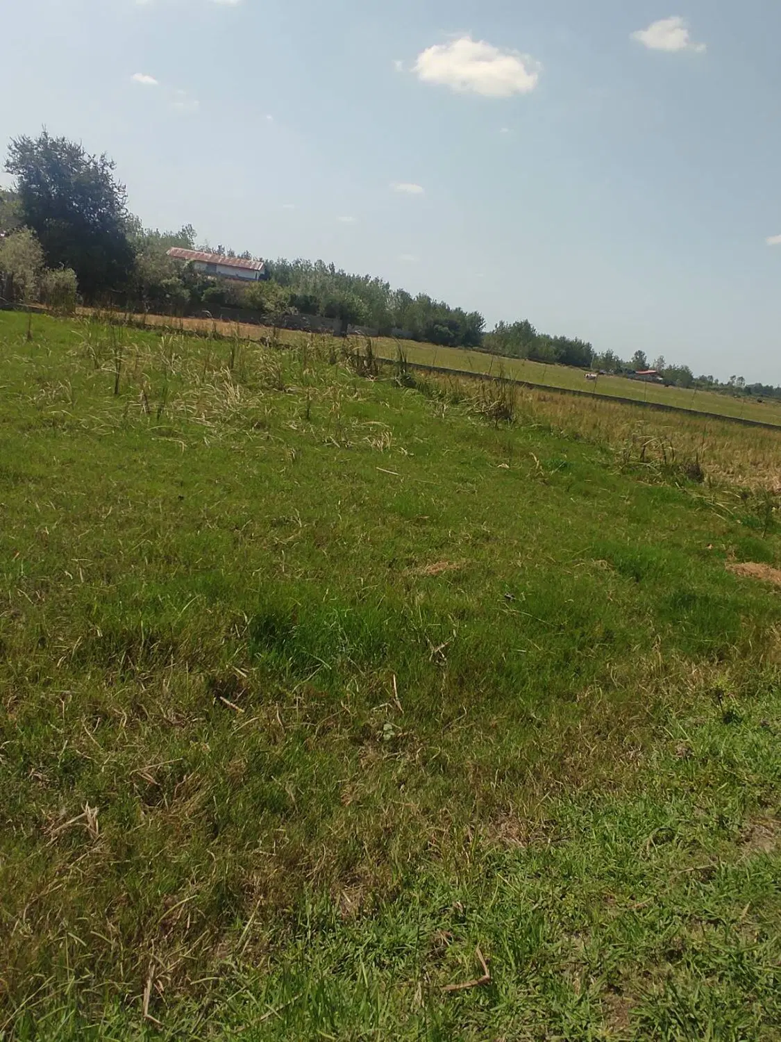 تصویر املاک 112786