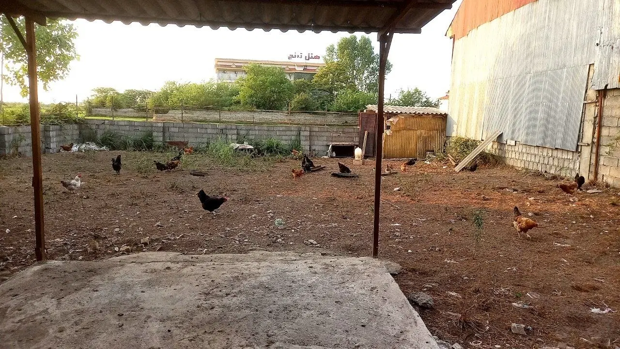 تصویر املاک 54385