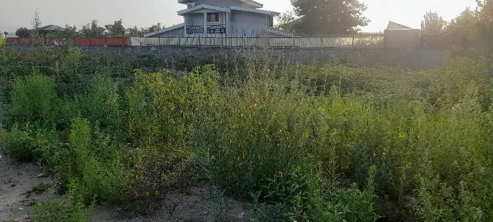 تصویر املاک 93527