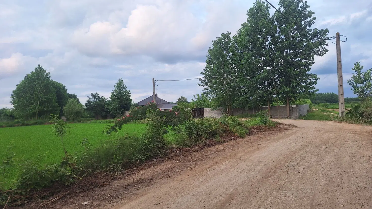 تصویر املاک 87126