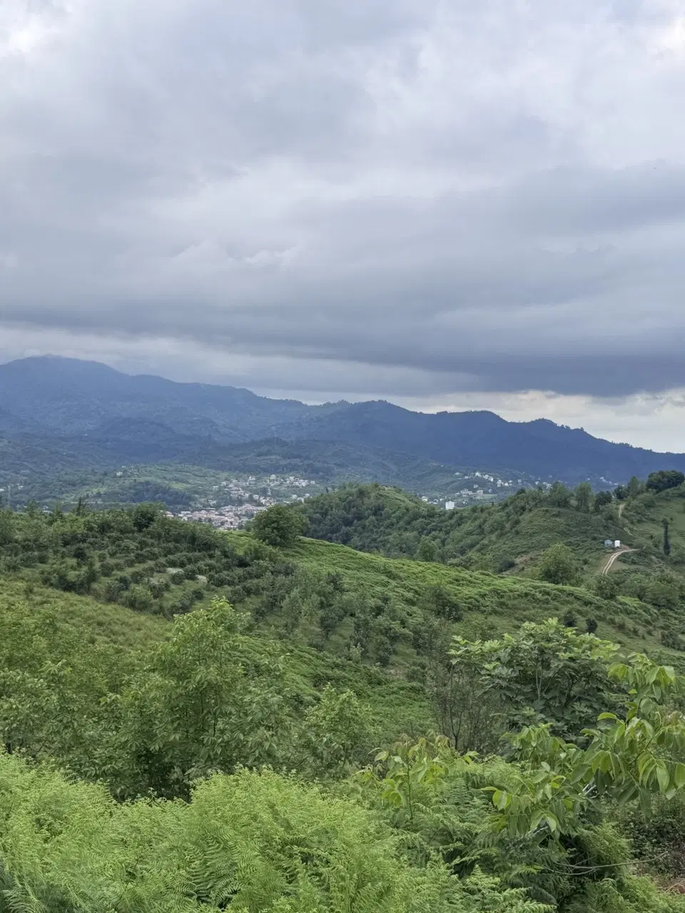 تصویر املاک 117168