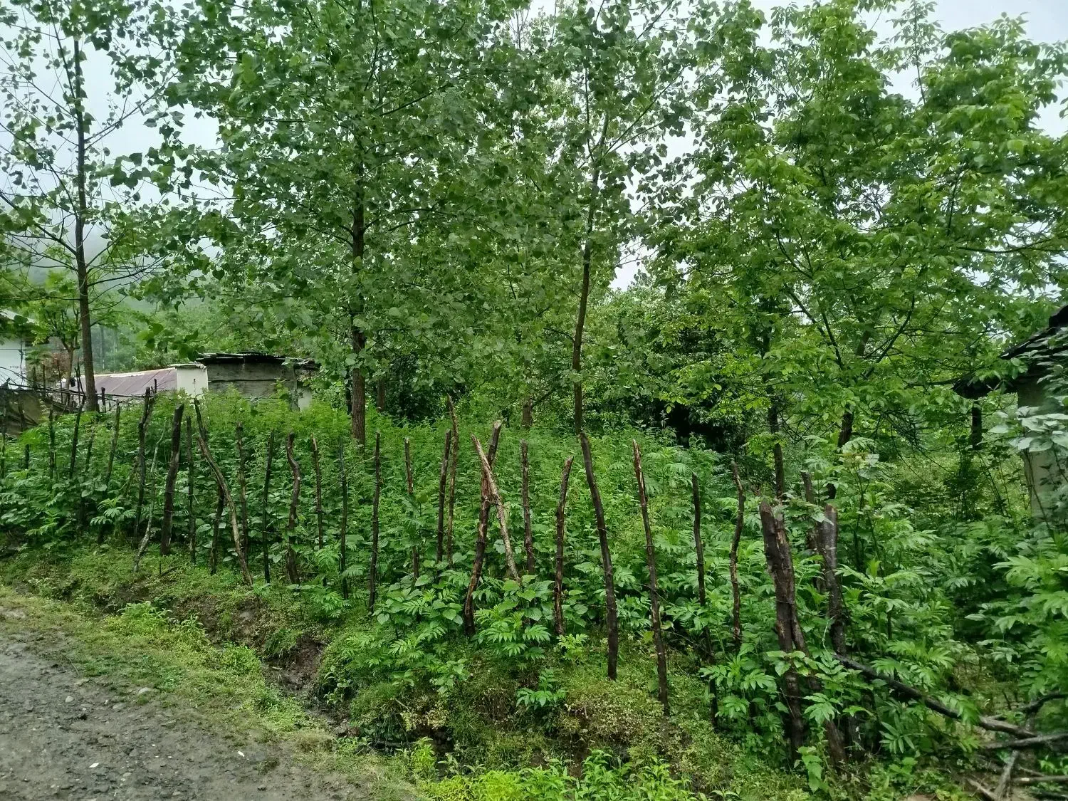 تصویر املاک 39151