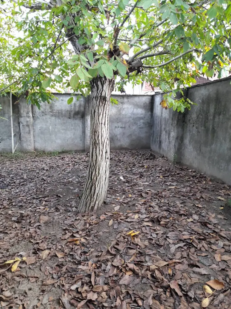 تصویر املاک 77359