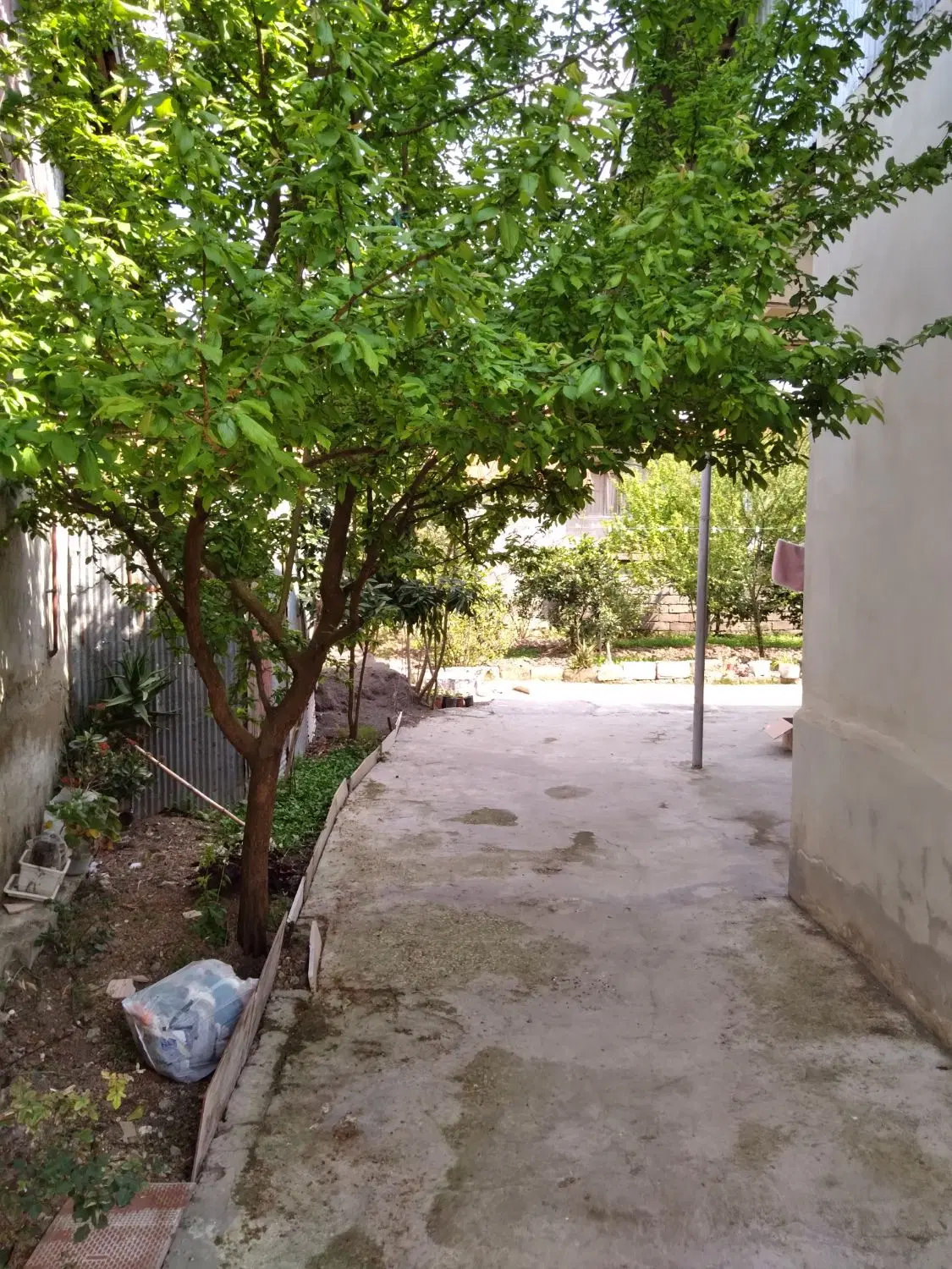 تصویر املاک 103842
