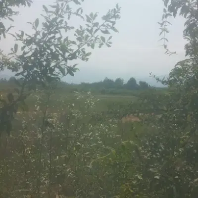 تصویر املاک 109198