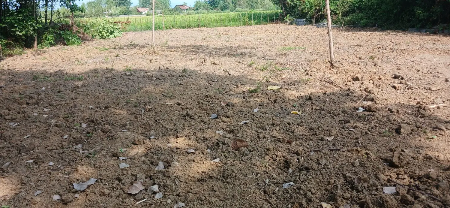 تصویر املاک 130802