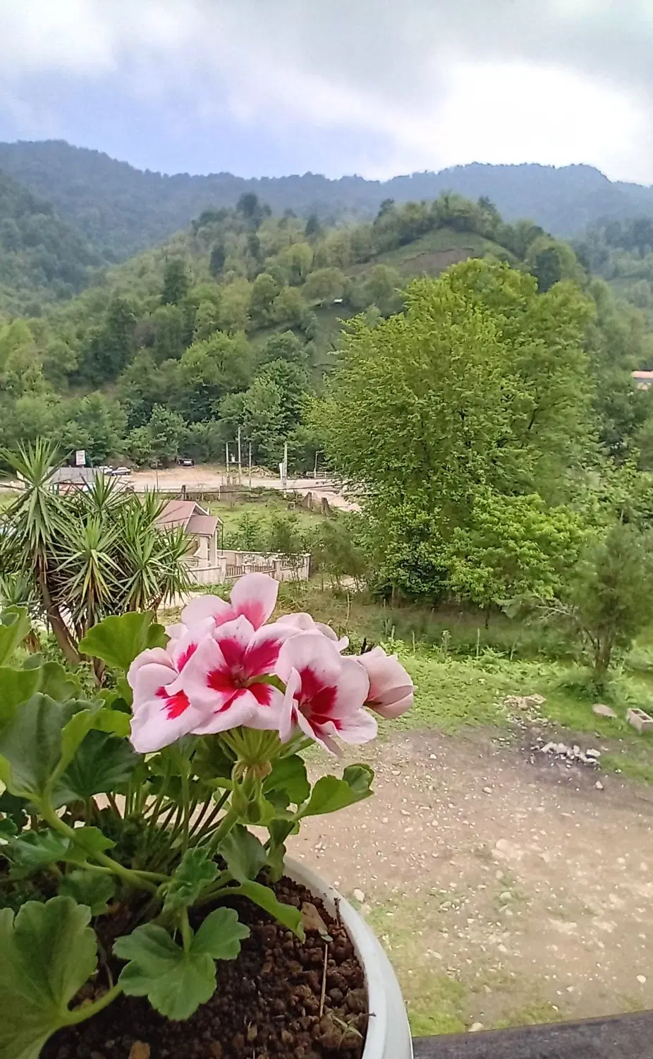 تصویر املاک 93315