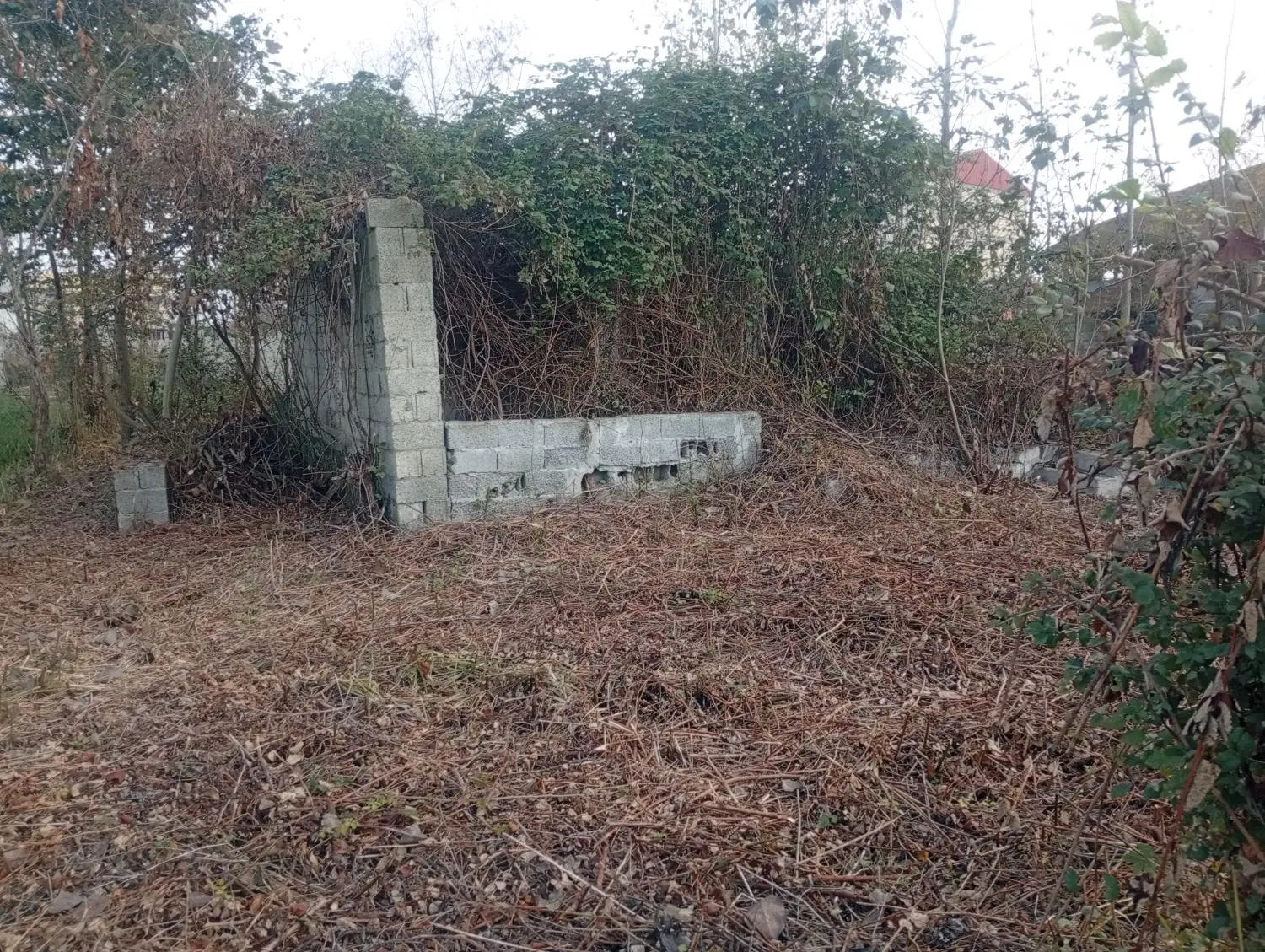 تصویر املاک 105603