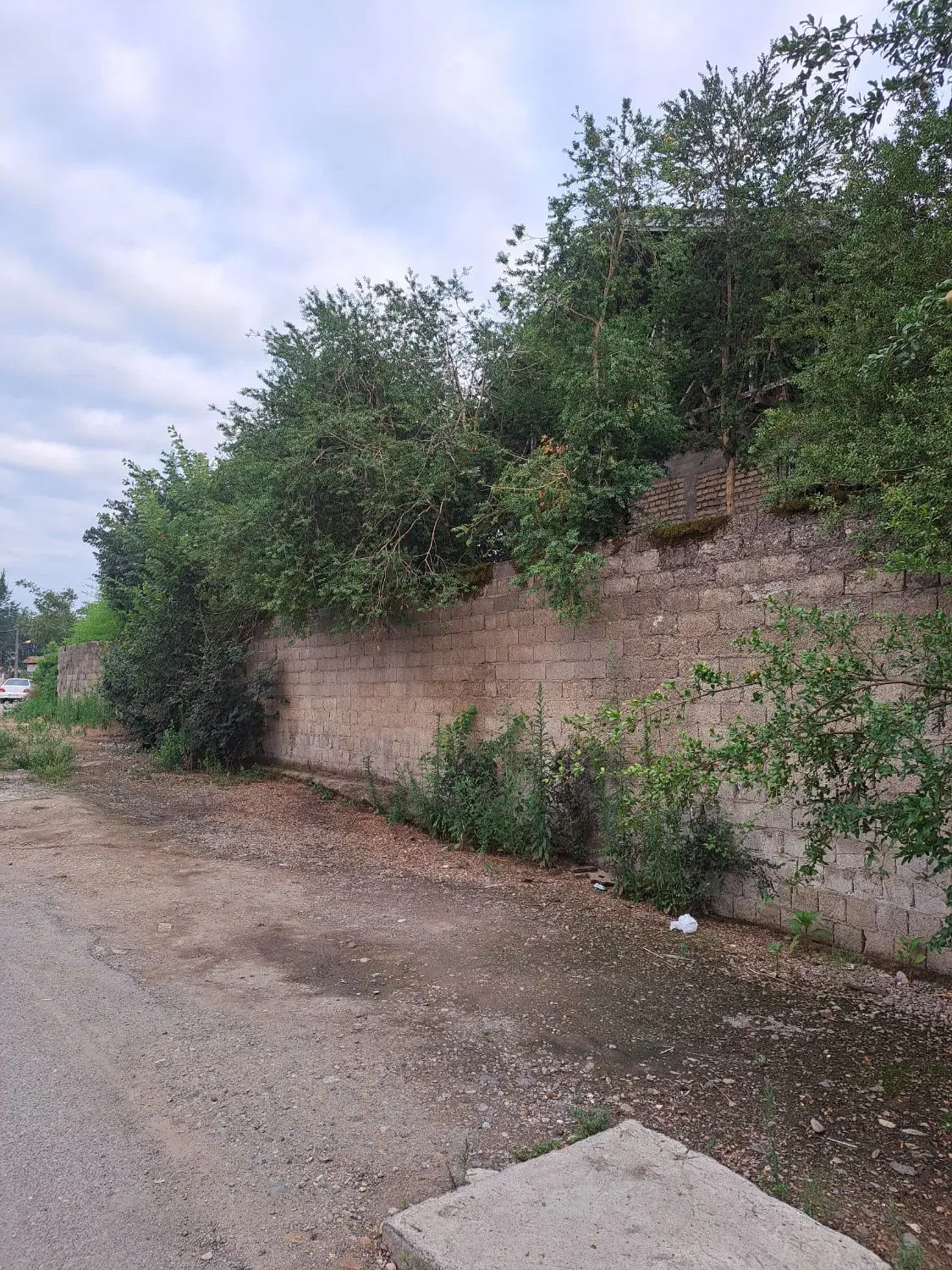 تصویر املاک 87388