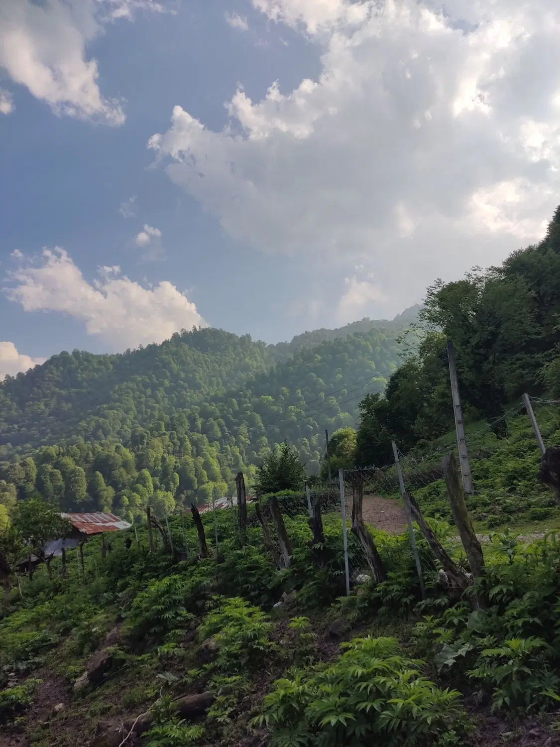 تصویر املاک 104854