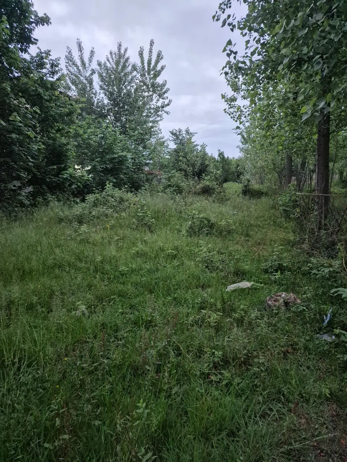 تصویر املاک 105564