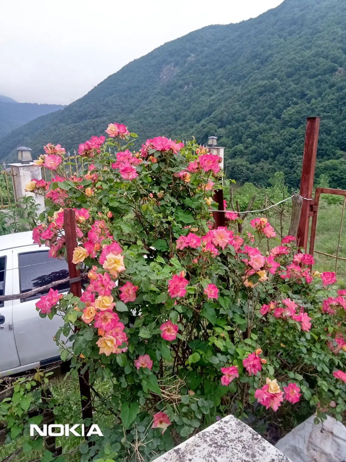 تصویر املاک 94916