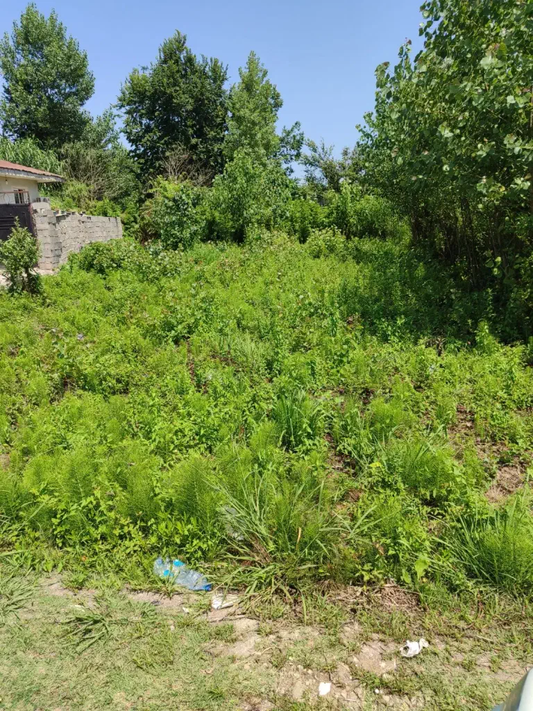 تصویر املاک 141661