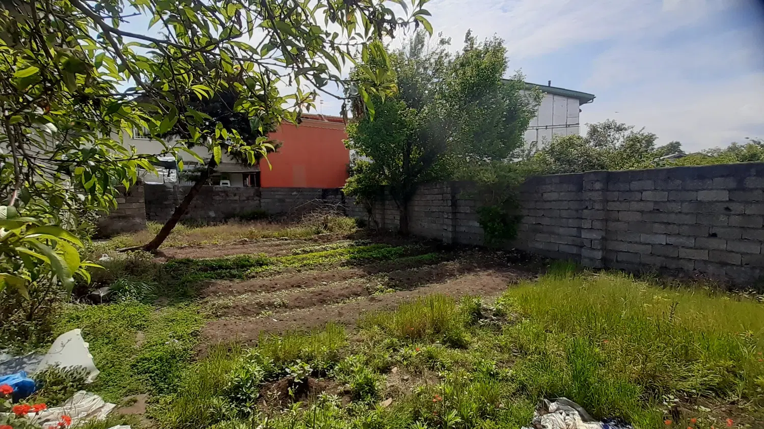 تصویر املاک 142902