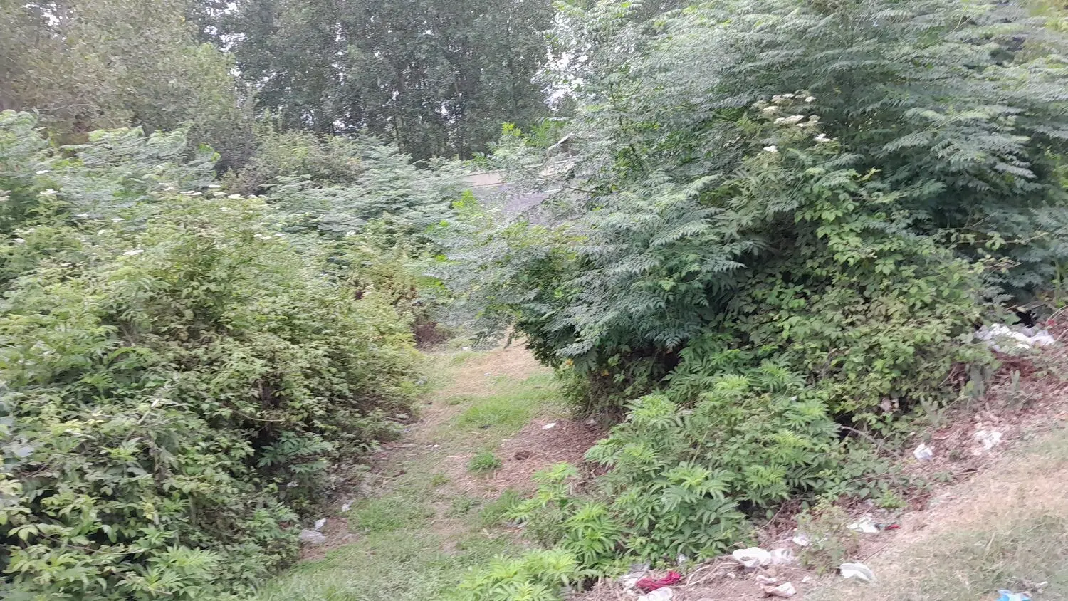 تصویر املاک 101288