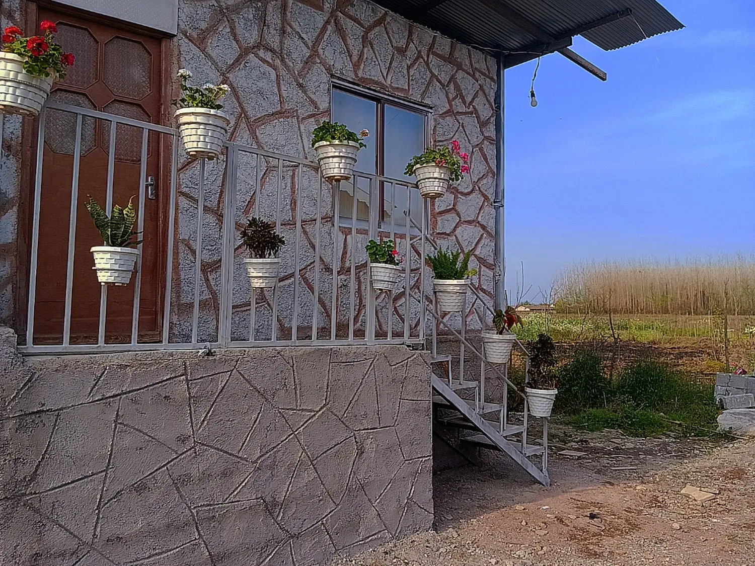 تصویر املاک 69512
