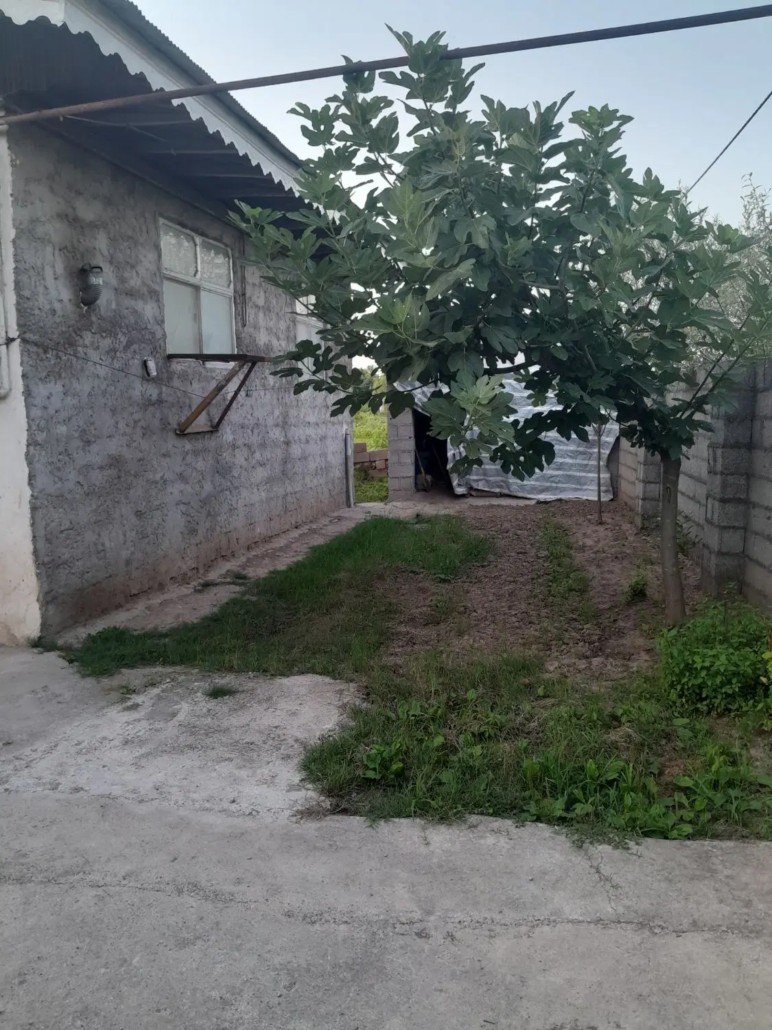 تصویر املاک 77345