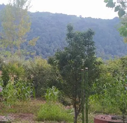 تصویر املاک 97527